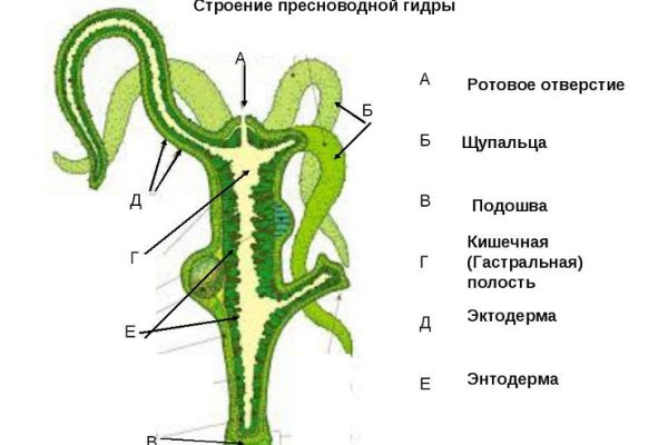 Kraken оф сайт